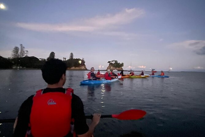 Bioluminescence Kayak Tour - Est. 1994 - Timing, transport, and practical planning