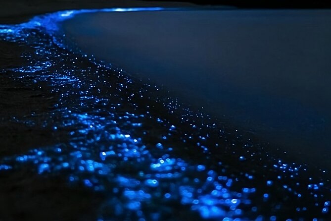 Bioluminescence Kayak Tour - Est. 1994 - Learning to kayak before darkness arrives
