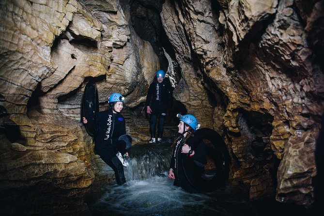 Black Labyrinth: Black Water Rafting - Private Tour from Auckland - Otorohanga Kiwi House after the cave