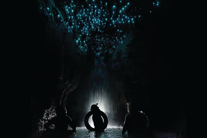 Black Water Rafting Experience Waitomo Caves Tour - Key points before you book
