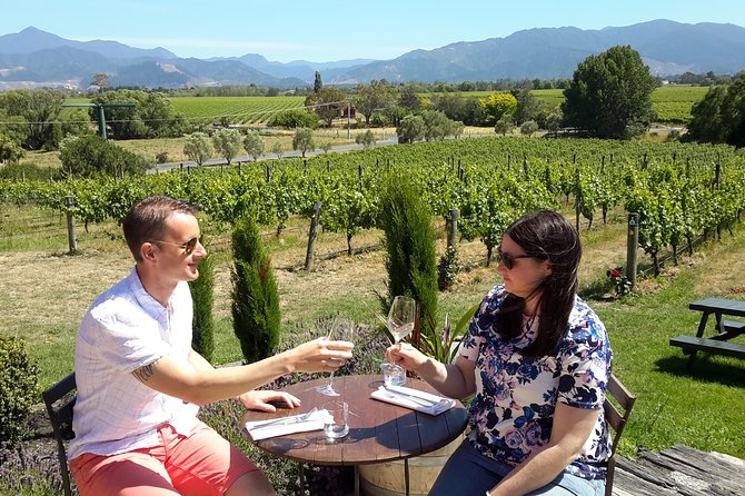 Blenheim Half day Wine Tour - Ending With Gourmet Chocolate