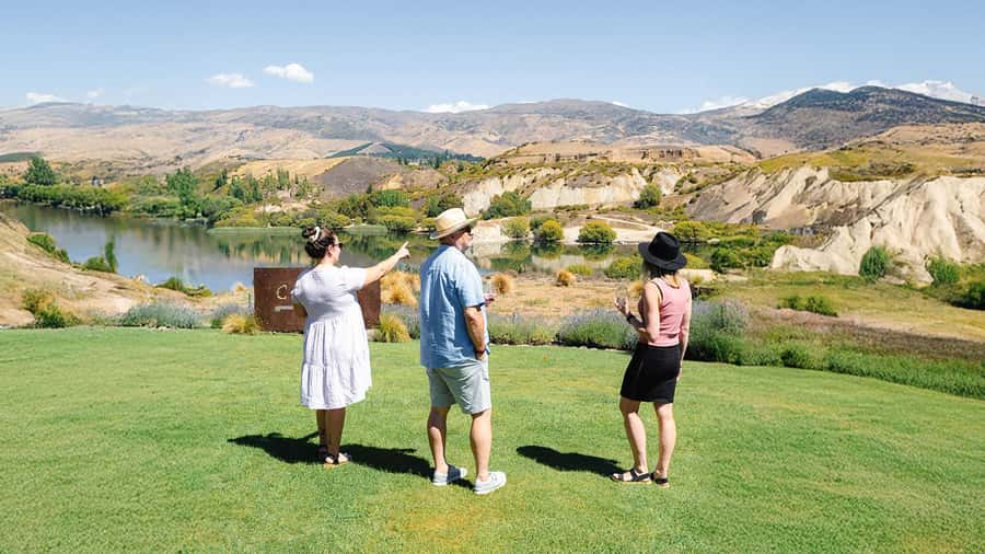 Boutique Winery Half-Day Tour & Vineyard Platter-Style Lunch - Timing, pickup, and the ride home
