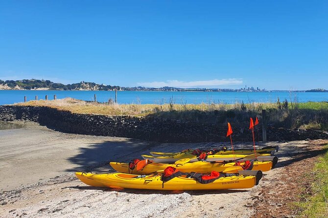 Browns Island Motukorea Sea Kayak Tour - Browns Island and its 25,000-year-old volcanic cone