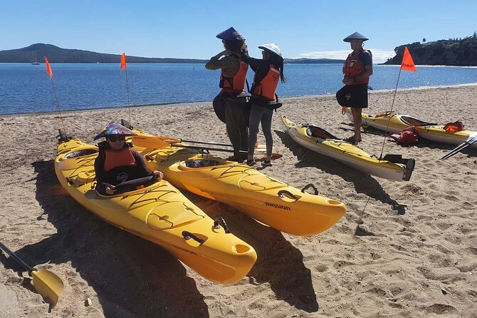Browns Island Motukorea Sea Kayak Tour - Is the $93.09 price good value?