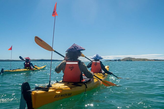 Browns Island Motukorea Sea Kayak Tour - Māori farming, fishing, and traces of the past