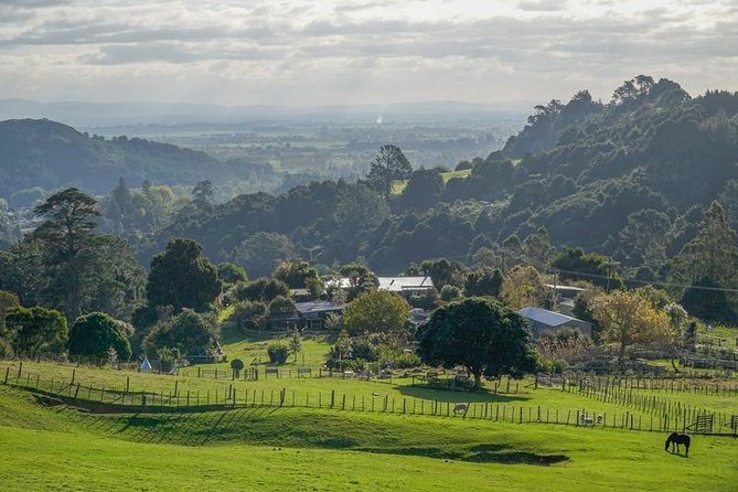 Bullswool Heritage Farm General Entry Ticket - A working farm near Karangahake Gorge