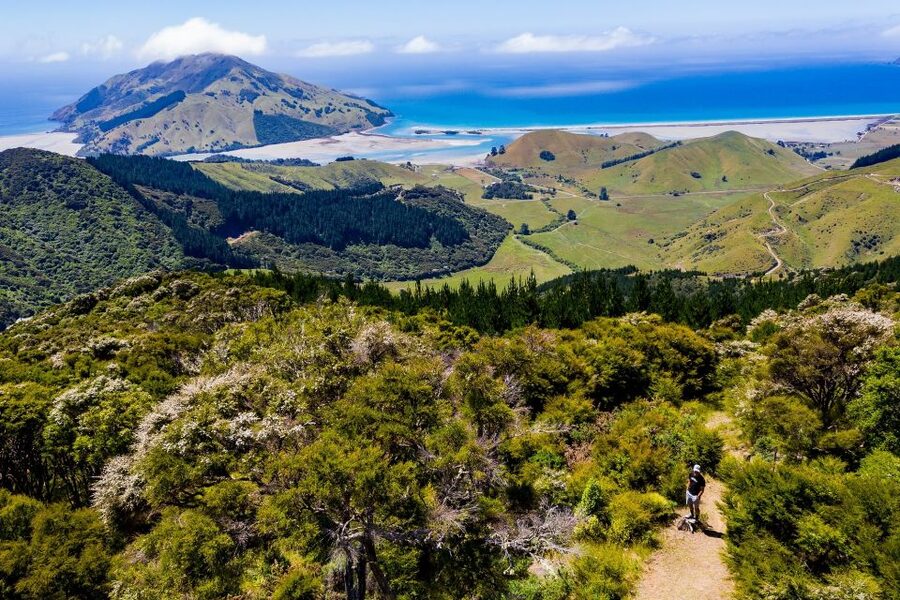 Cable Bay Adventure Park: E-bike hire - Starting at Cable Bay Adventure Park