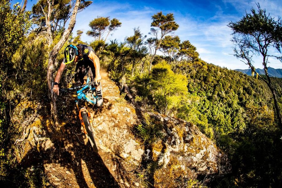 Cable Bay Adventure Park: E-bike hire - Is $56 good value for four hours?