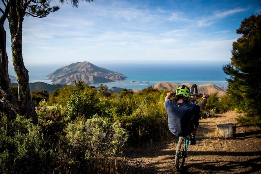 Cable Bay Adventure Park: E-bike hire - Getting comfortable on the e-bike