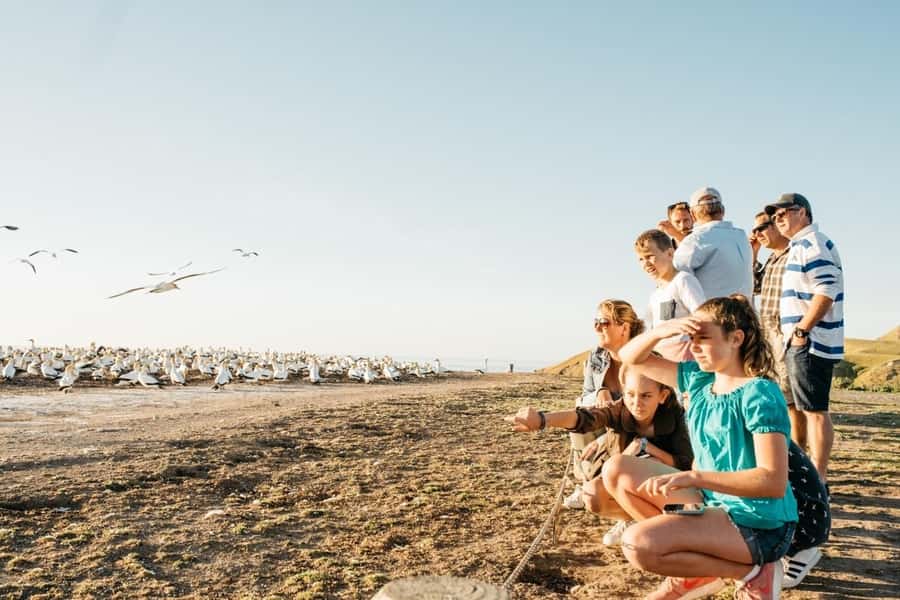Cape Kidnappers Gannet Colony Private Tour - Reaching the gannets across Cape Kidnappers Station