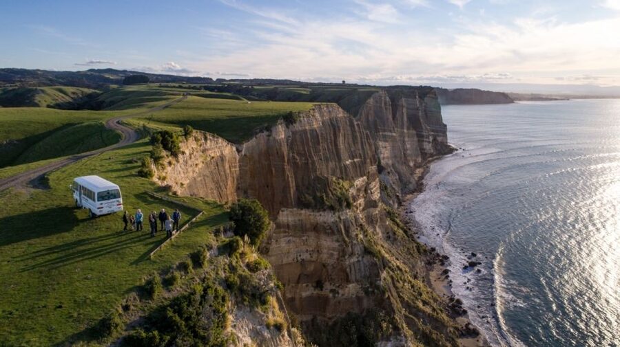Cape Kidnappers Gannet Colony Private Tour - Face to face with the Cape Kidnappers gannets