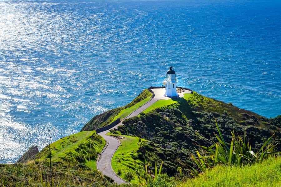 Cape Reinga: Day Trip from Paihia, Kerikeri, or Kaitaia - Key points to know before booking