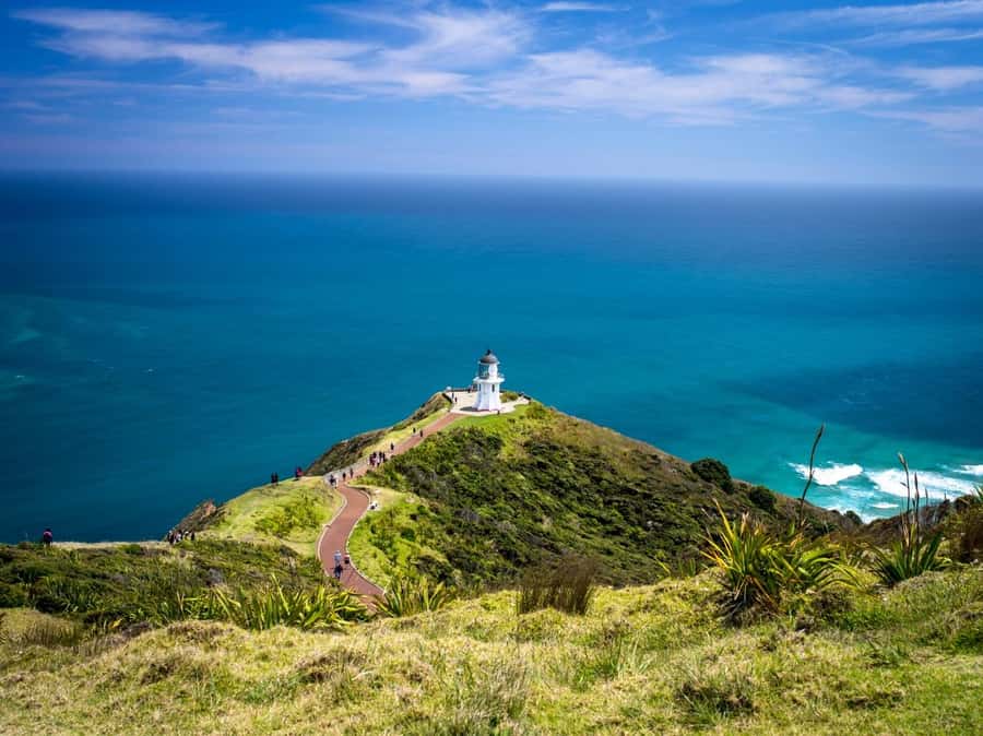 Cape Reinga: Day Trip from Paihia, Kerikeri, or Kaitaia - Why this Far North day trip works
