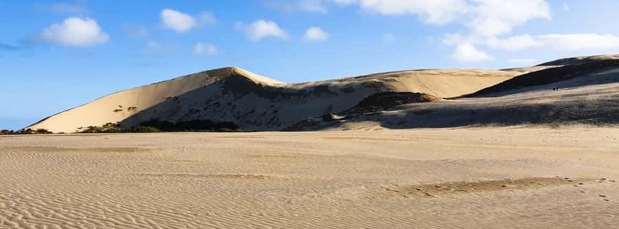 Cape Reinga: Day Trip from Paihia, Kerikeri, or Kaitaia - Lunch, clothing, and what to carry