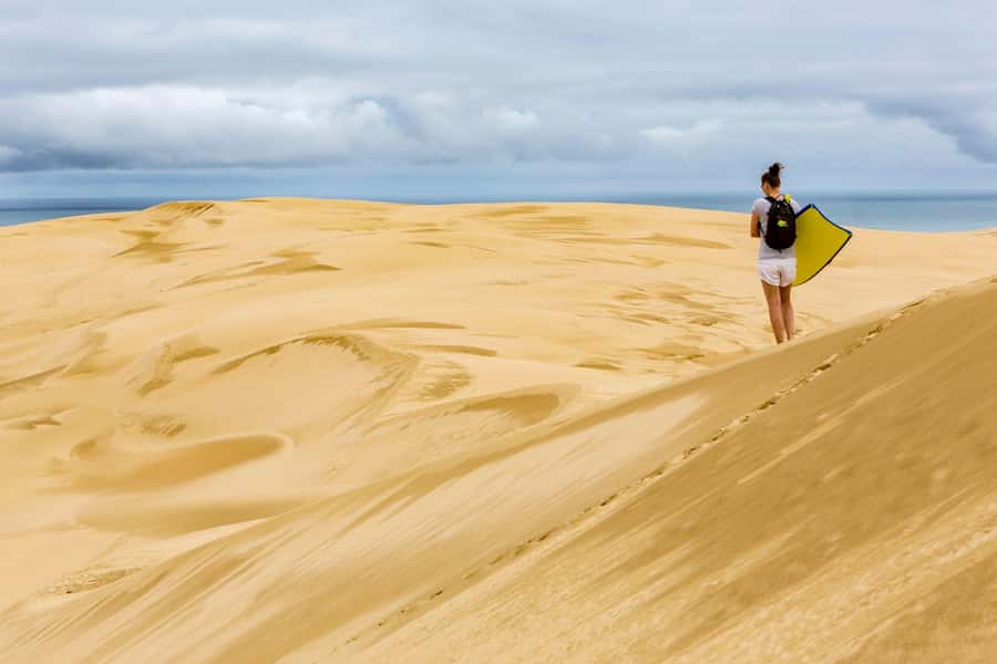 Cape Reinga: Day Trip from Paihia, Kerikeri, or Kaitaia - The early ride north from Paihia or Kerikeri