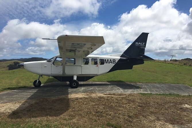 Cape Reinga Half-Day Tour Including Scenic Flight - Why flying is the smart way to reach Cape Reinga