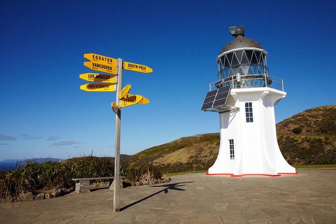 Cape Reinga Half-Day Tour Including Scenic Flight - Tapotupotu Bay adds a quiet beach stop