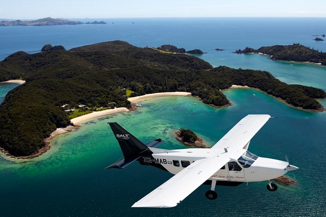 Cape Reinga Half-Day Tour Including Scenic Flight - Te Paki’s giant dunes provide the playful finish
