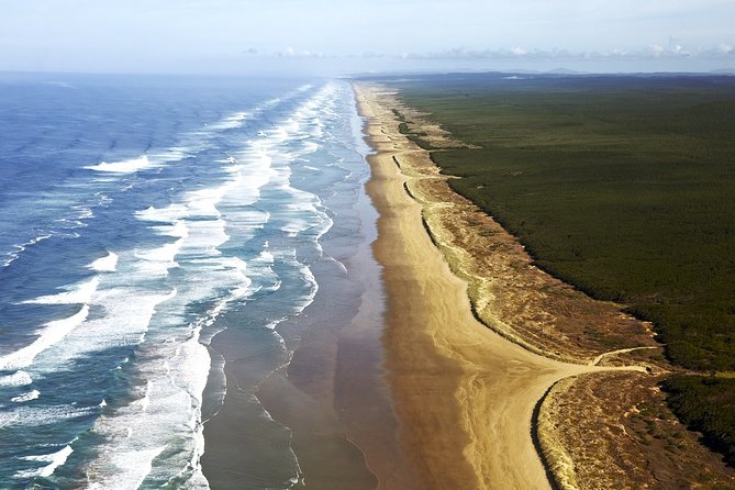 Cape Reinga Half-Day Tour Including Scenic Flight - How much value do you get for $346.89?