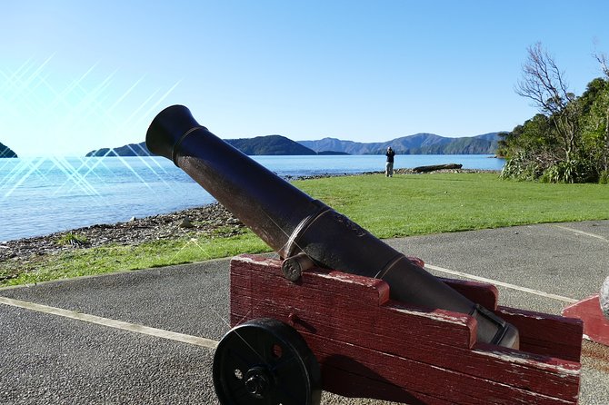 Captain Cook and Dolphin Cruise - Motuara Island and the bird sanctuary stop