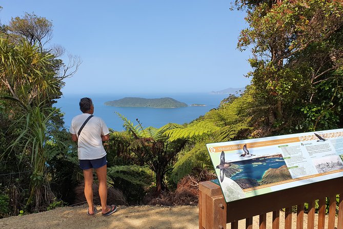 Captain Cook and Dolphin Cruise - What the four hours feel like on board