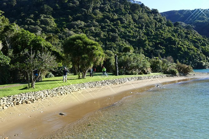 Captain Cook and Dolphin Cruise - Who should book this Picton cruise?