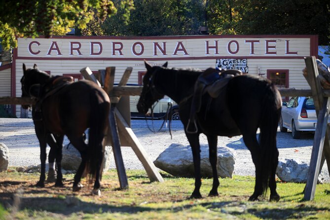 Cardrona High Country Pub Trail Horse Riding Trek (Intermediate+) - Quick points to know