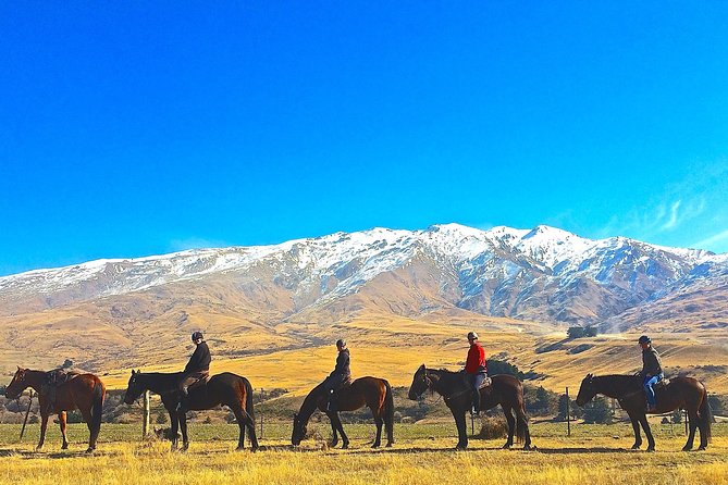 Cardrona High Country Pub Trail Horse Riding Trek (Intermediate+) - Getting matched with the right horse