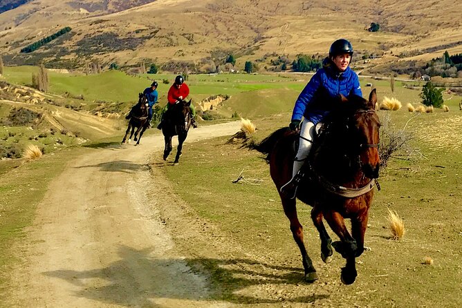 Cardrona High Country Pub Trail Horse Riding Trek (Intermediate+) - Trotting and cantering across the open ground