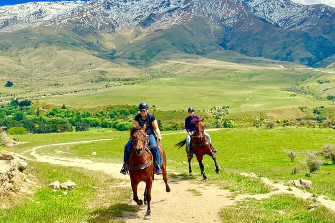 Cardrona High Country Pub Trail Horse Riding Trek (Intermediate+) - Who will get the most from this trek?