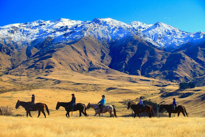 Cardrona High Country Pub Trail Horse Riding Trek (Intermediate+) - Climbing into Cardrona’s mountain country
