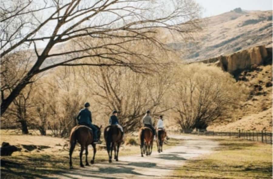 Cardrona Valley: Horse Trekking Experience - Key points before you saddle up