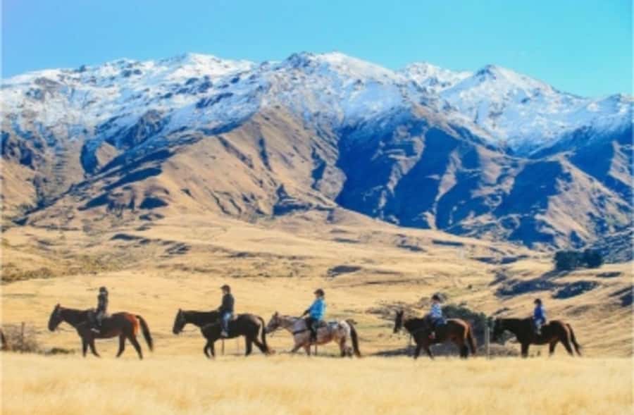 Cardrona Valley: Horse Trekking Experience - What the three-hour outing actually includes