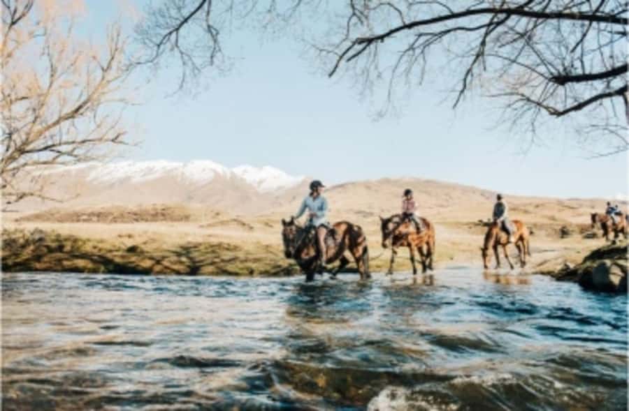 Cardrona Valley: Horse Trekking Experience - Is $298 a fair price?