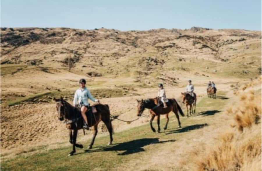 Cardrona Valley: Horse Trekking Experience - What the ride feels like for beginners