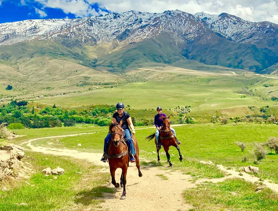 Cardrona Valley: Horse Trekking Experience - Your private riding lesson before the mountain trail