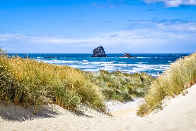 Castle, Coast & City Tour - 8 pax max - Castle Entrance Included - Key points at a glance