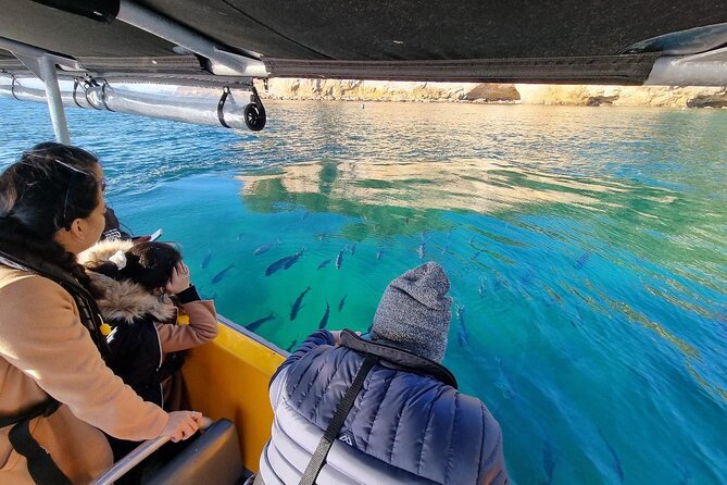 Cathedral Cove 2 Hour Guided Tour Explore Marine Wonders - Orua Sea Cave by Boat
