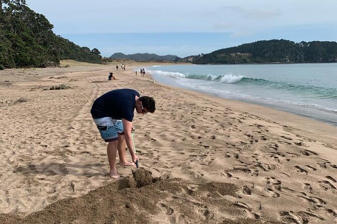 Cathedral Cove and Hot Water Beach Scenic Day Tour from Auckland - Hot Water Beach and the tide-dependent pool