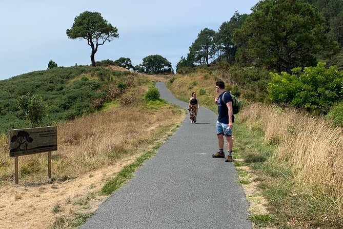 Cathedral Cove and Hot Water Beach Scenic Day Tour from Auckland - Sharma and the value of a small-group guide