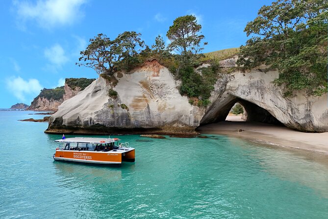 Cathedral Cove Coast and Cave Activity - Key points to know before you go