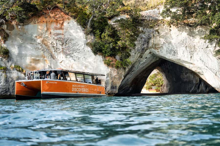 Cathedral Cove Coast and Cave Tour - Why the boat trip is more than a Cathedral Cove photo stop