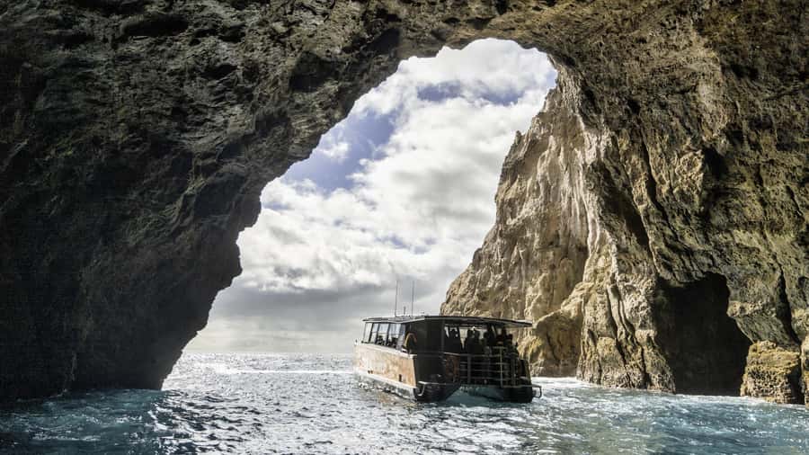 Cathedral Cove Coast and Cave Tour - Who will enjoy this outing most