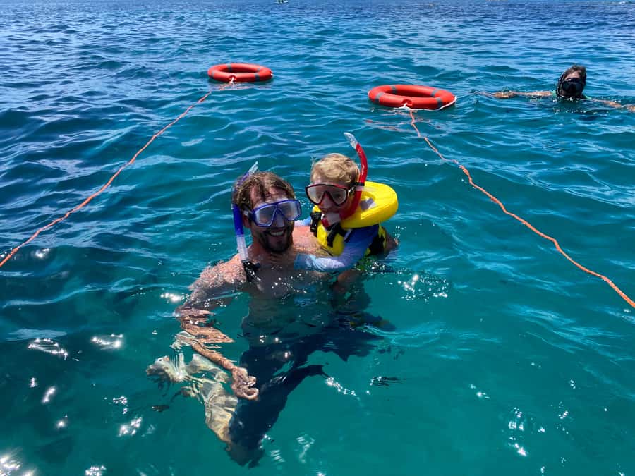Cathedral Cove Coast and Cave Tour - Booking details that affect your day