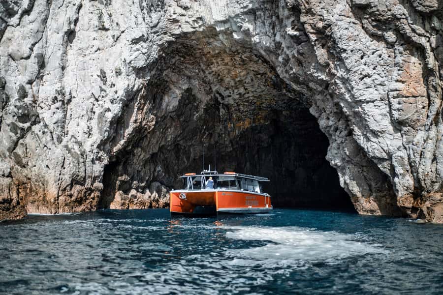 Cathedral Cove Coast and Cave Tour - From Whitianga Marina to the volcanic coast
