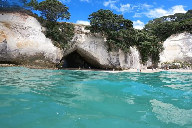 Cathedral Cove & Coromandel, Small-Group Tour from Auckland - What the $164.45 price delivers