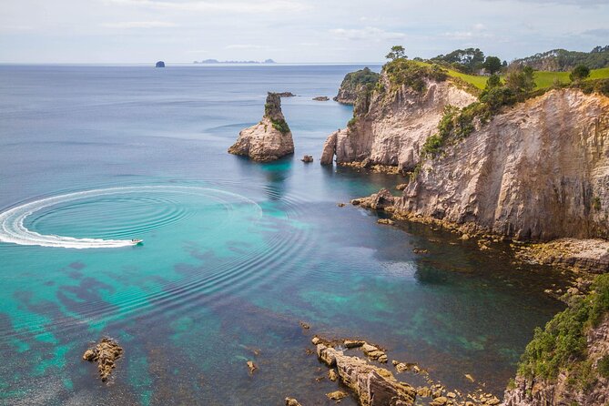 Cathedral Cove & Coromandel, Small-Group Tour from Auckland - Crossing the Waikato countryside