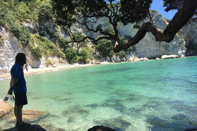 Cathedral Cove Day Trip from Auckland - Hot Water Beach: a short stop with a natural surprise