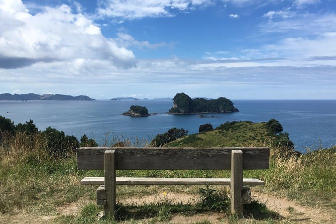 Cathedral Cove Day Trip from Auckland - Mount Paku adds a fast climb and a wide view