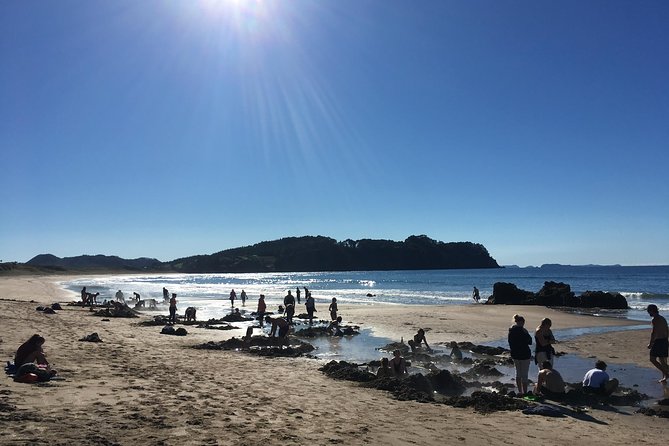 Cathedral Cove Day Trip from Auckland - The small minibus is part of the value